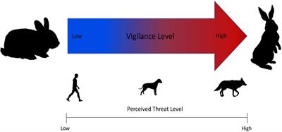 Vigilance Response of a Key Prey Species to Anthropogenic and Natural Threats in Detroit